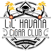 logo main